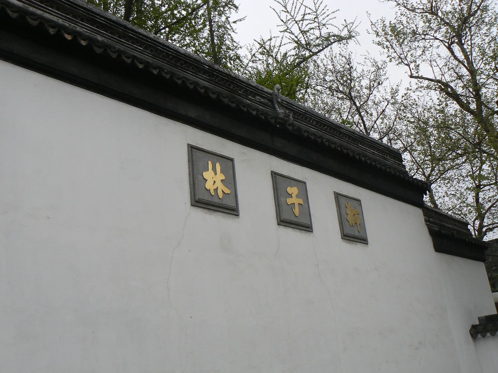 狮子林