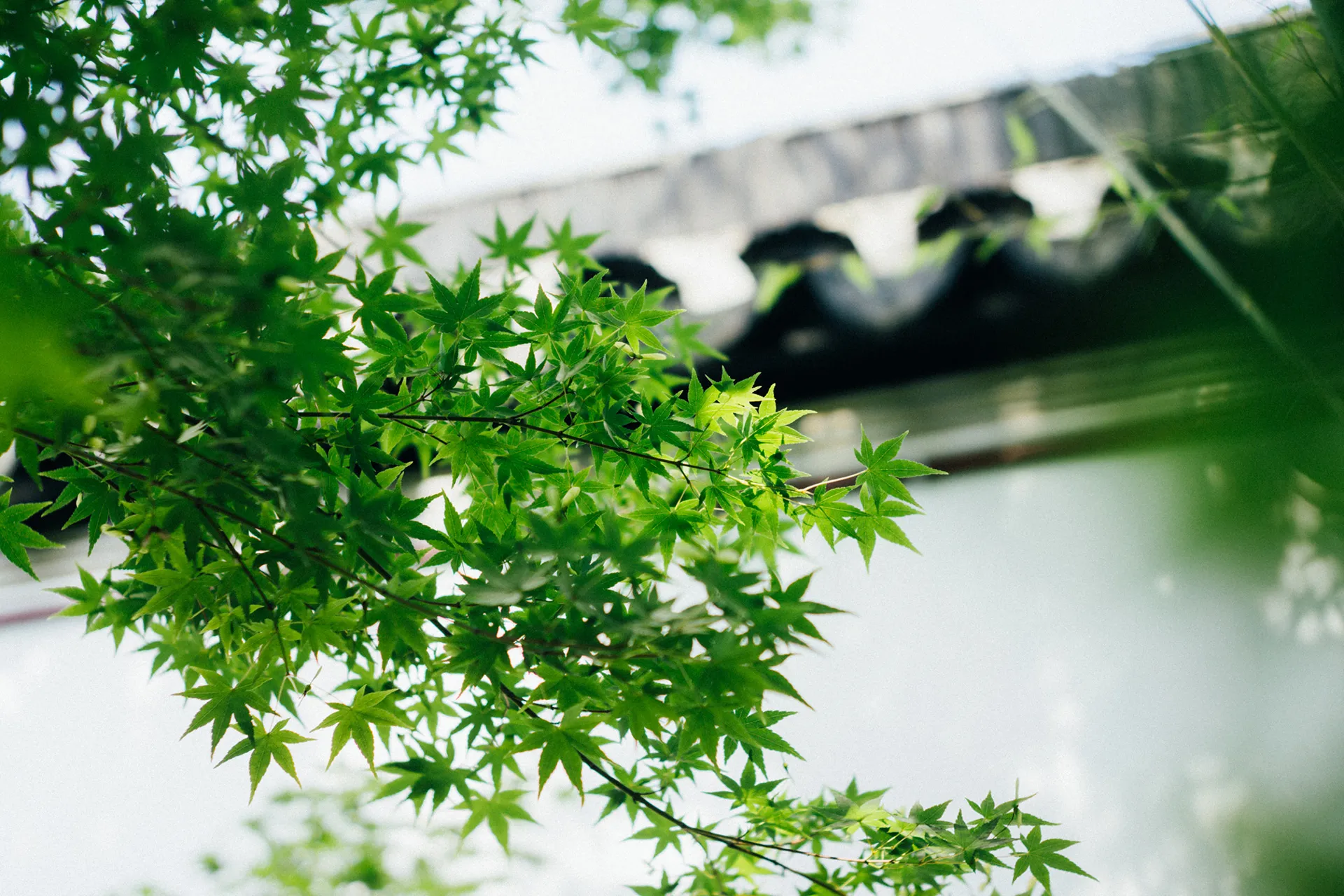 小竹里馆