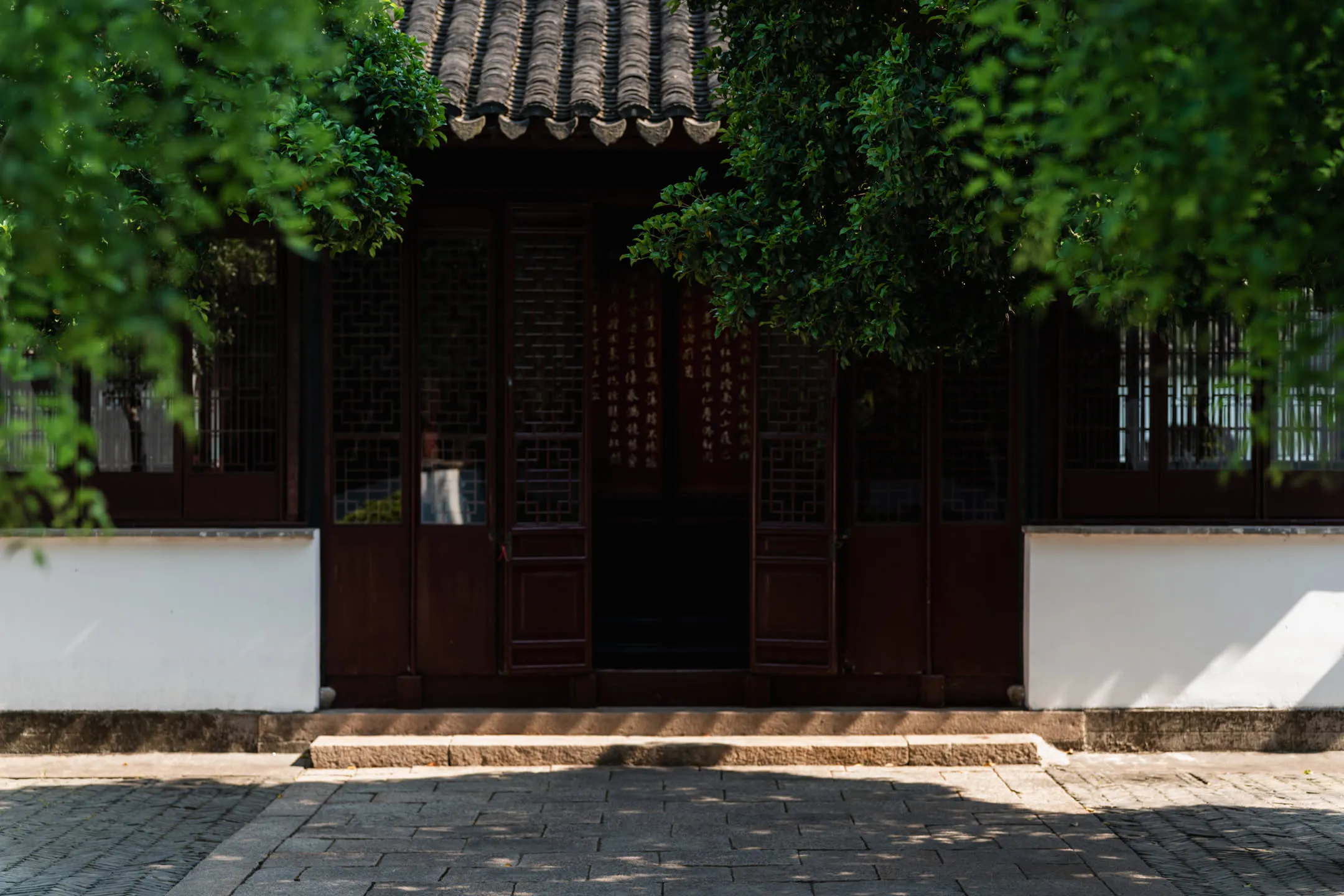 绿荫