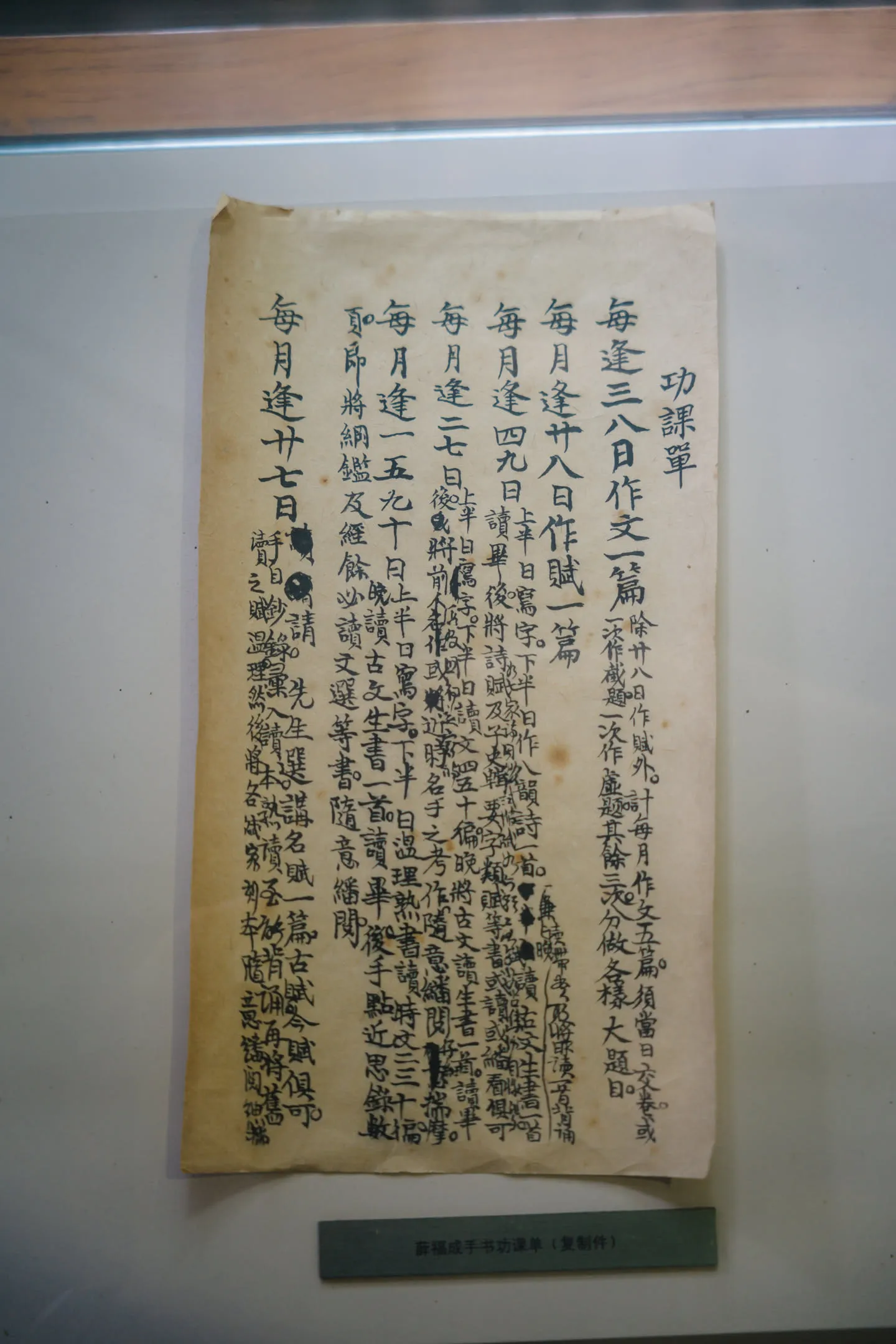 薛氏的功课单