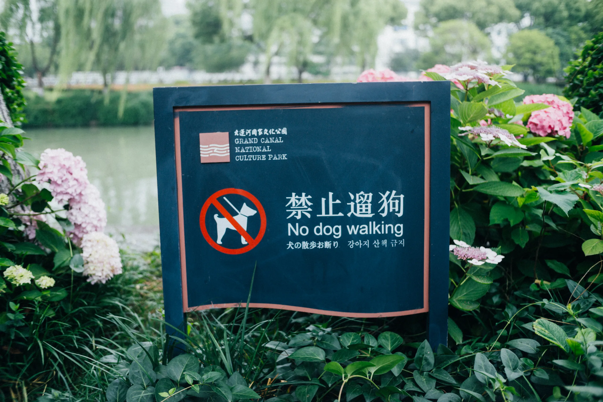 禁止遛狗