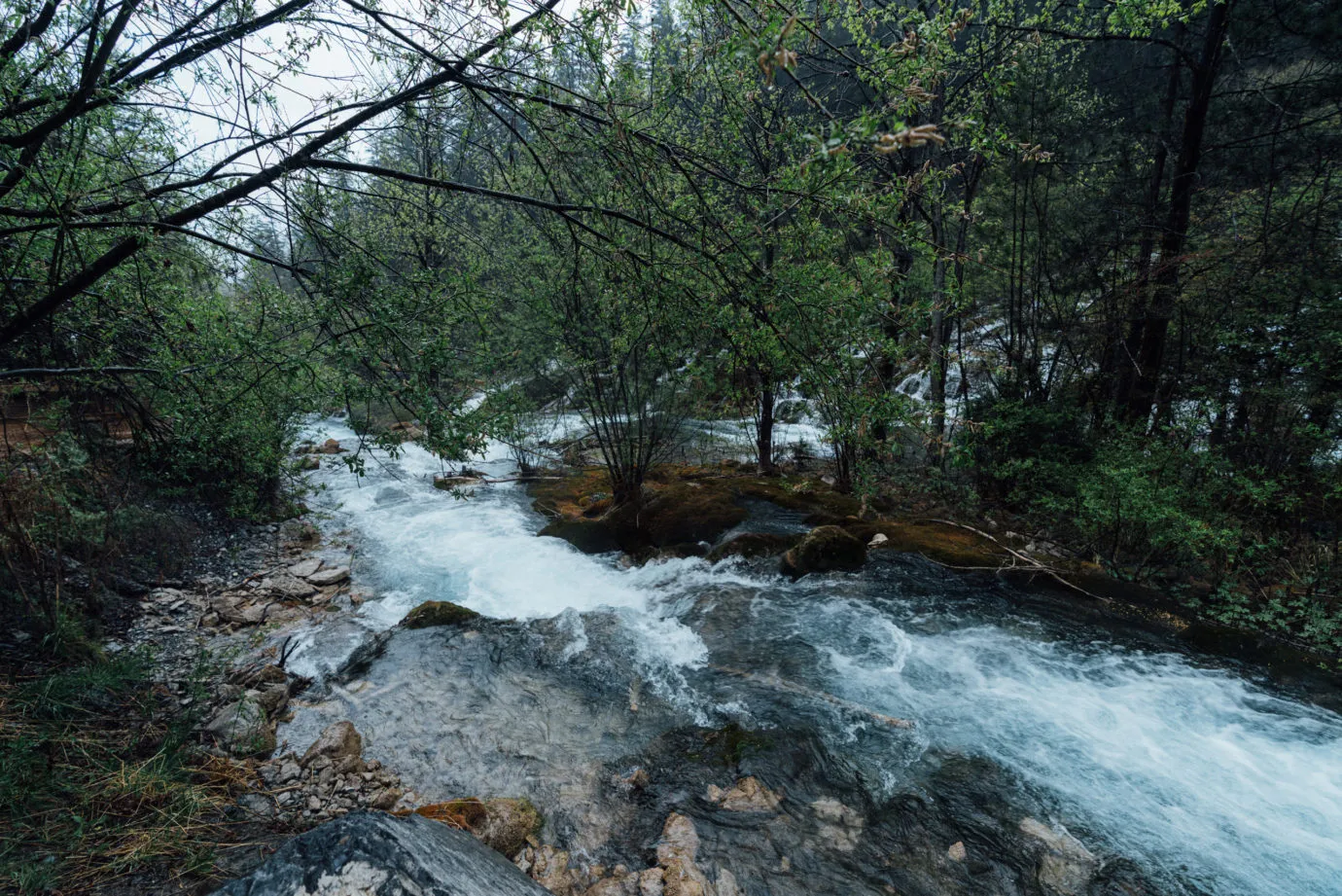沿着树正沟往下游走,一路水流湍急,更胜珍珠滩。