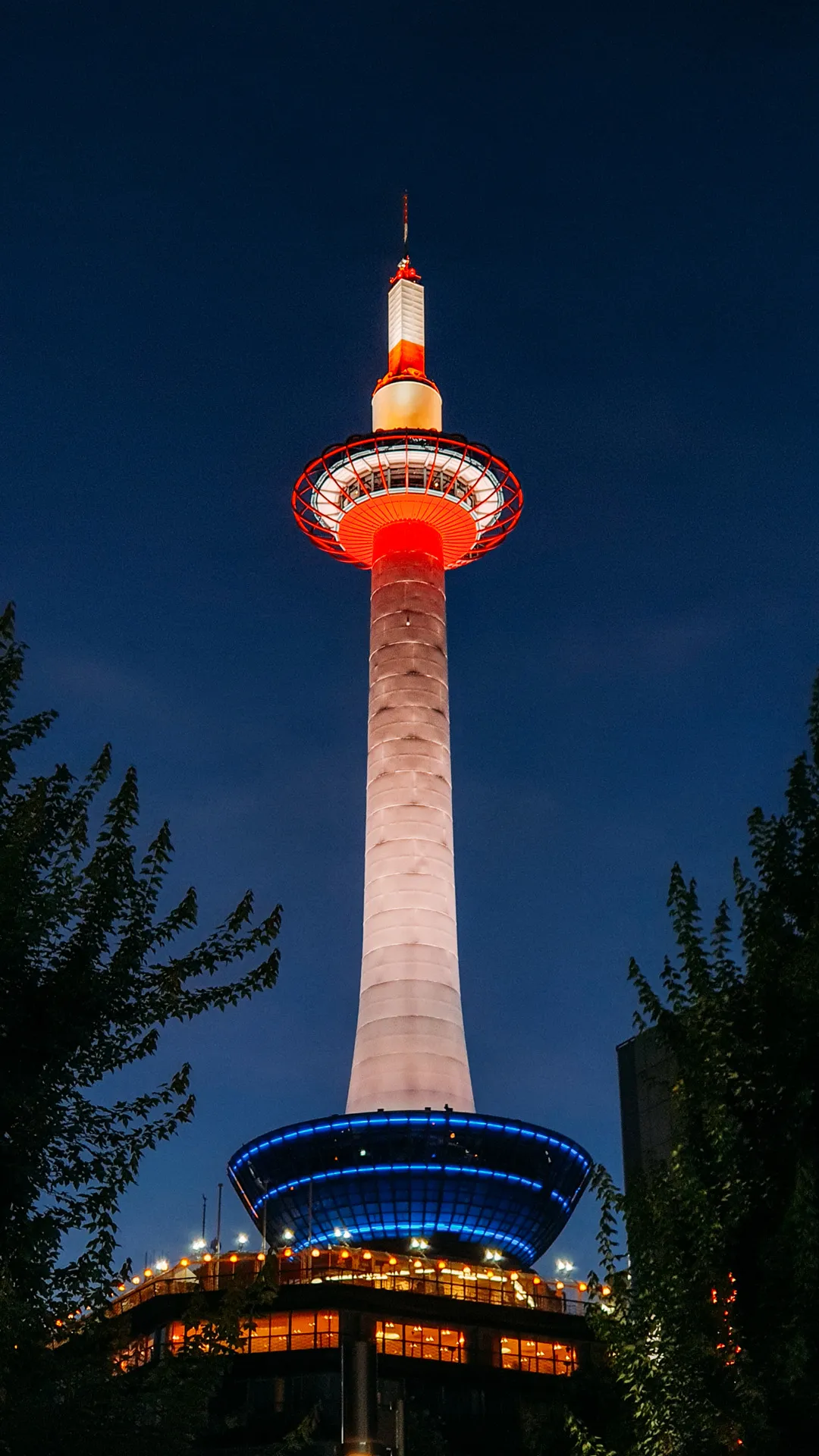 京都塔夜景
