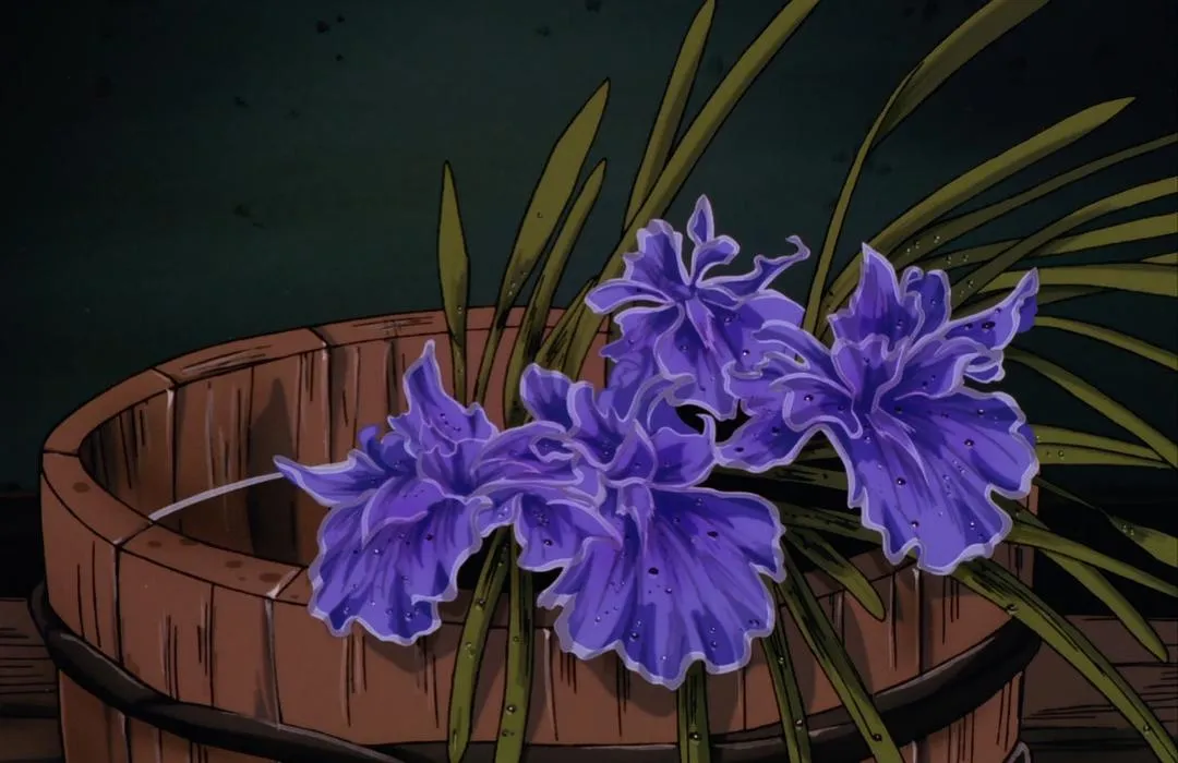 追忆篇中的菖蒲花