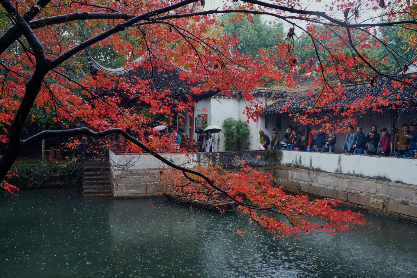 雨中拙政园