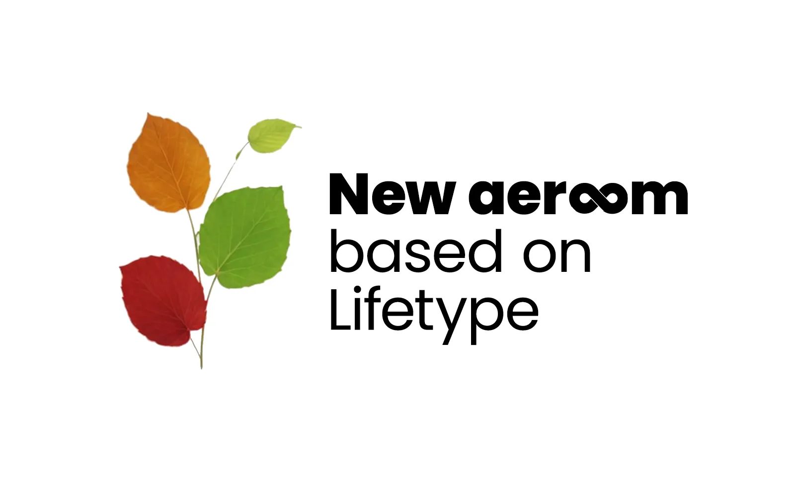 New aeroom, based on LifeType.