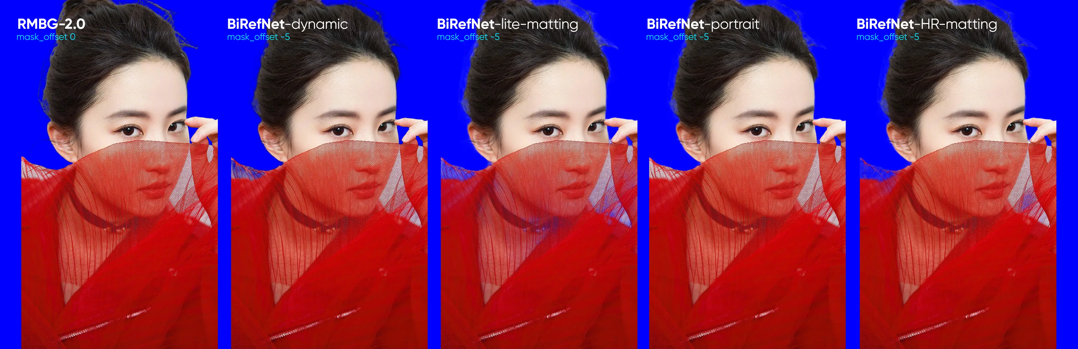 BiRefNet 子模型去背结果参考