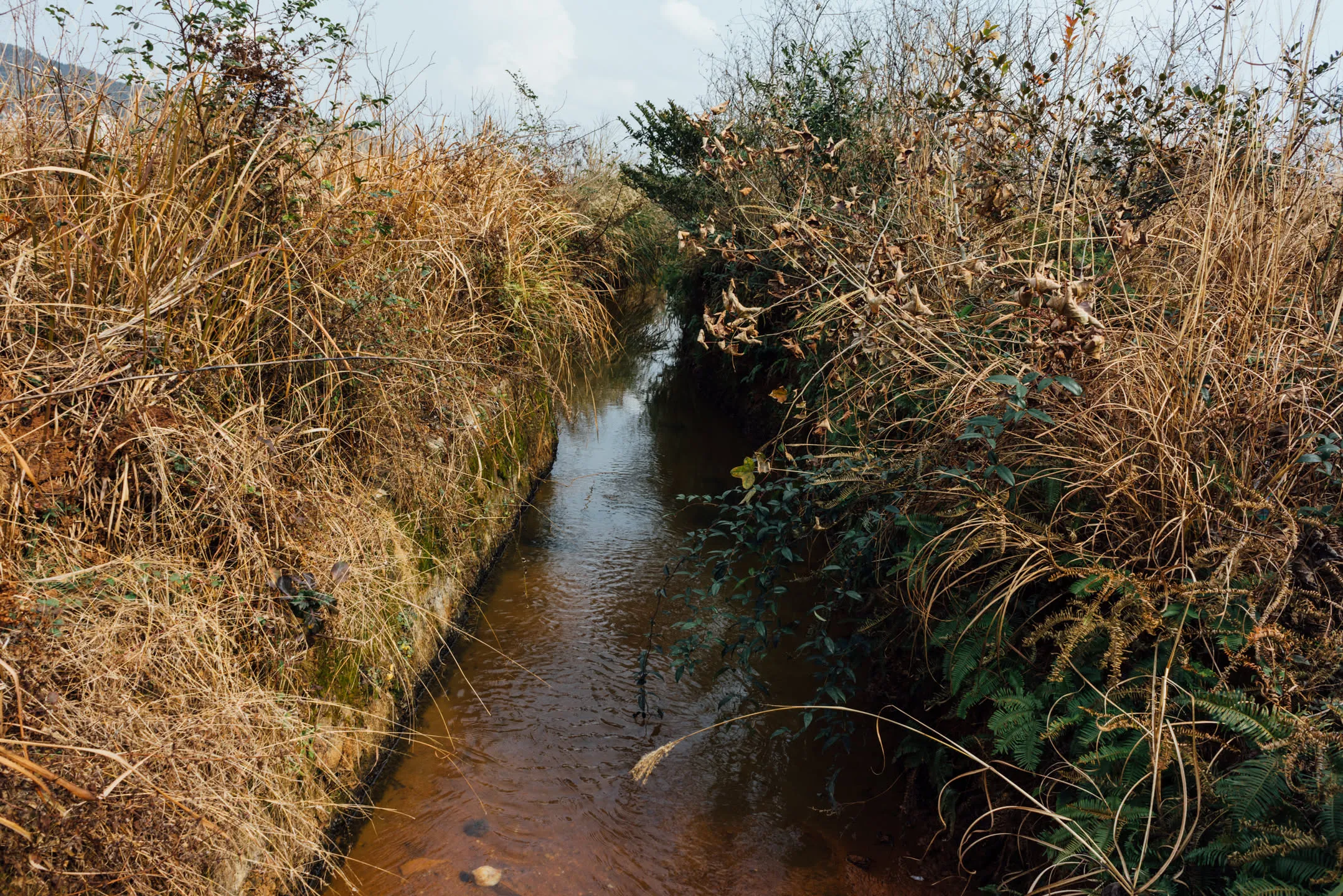 草木黄落，水清沙赭