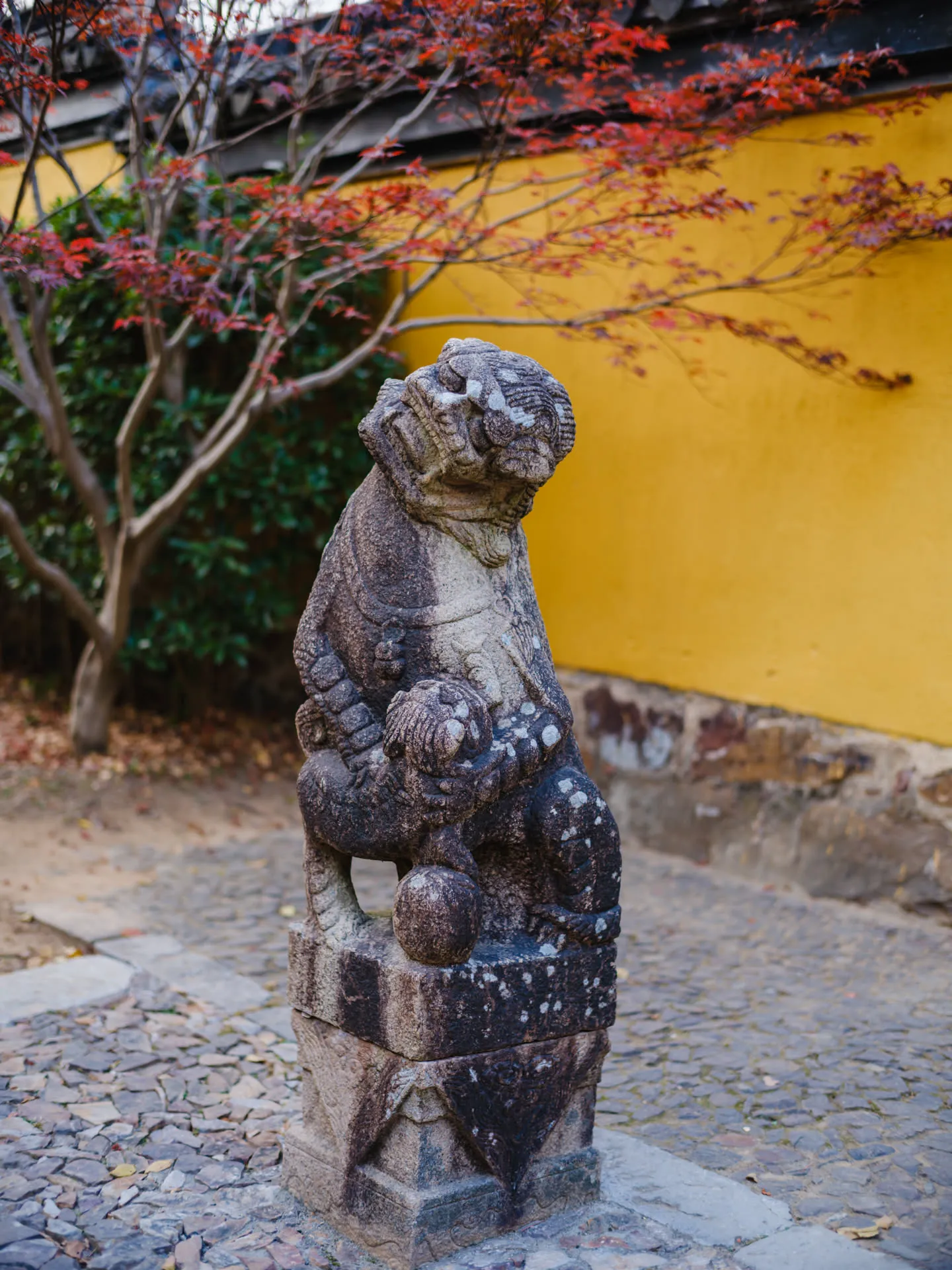 门口的外头狮子有点可爱