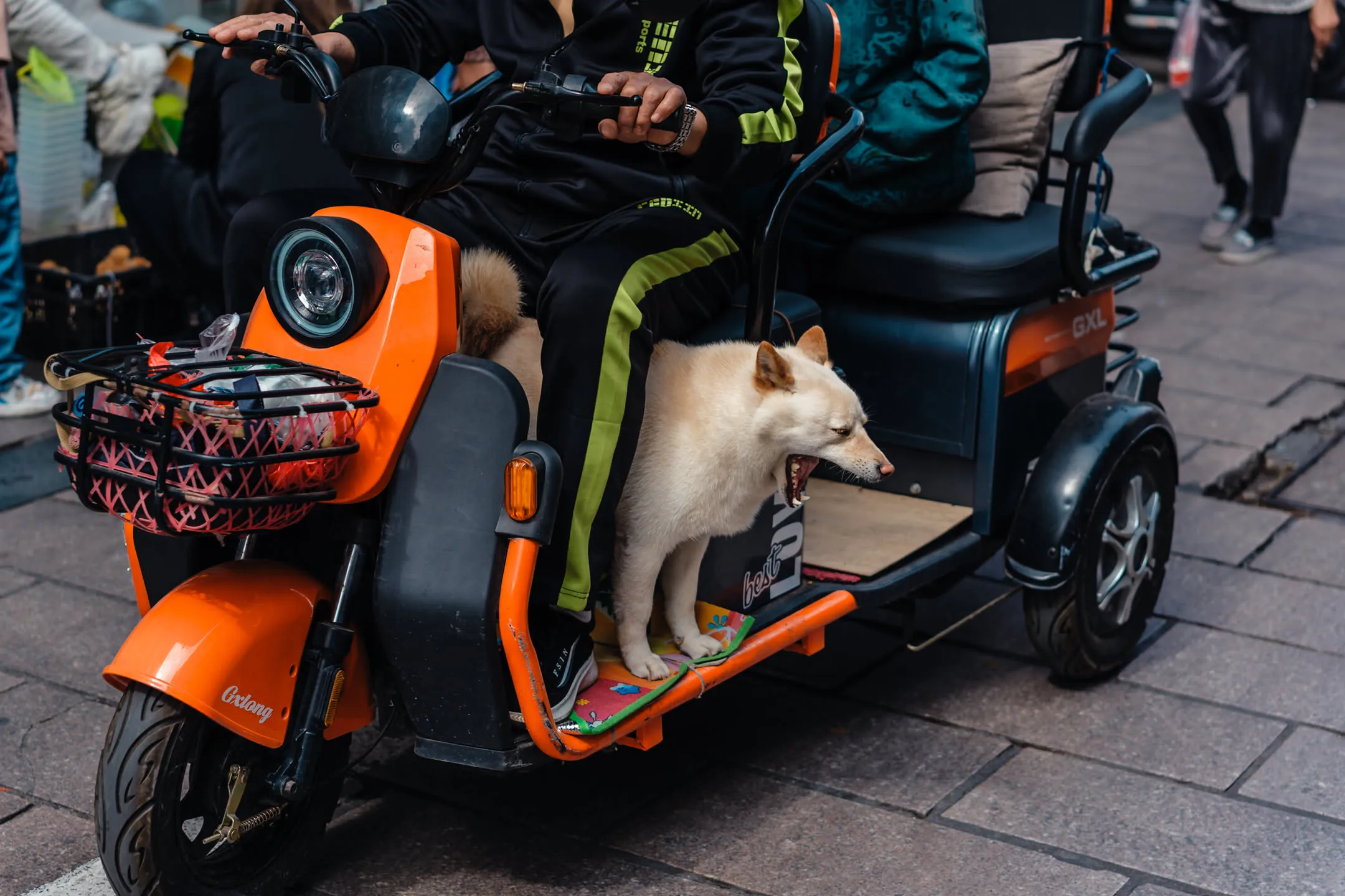 石路，2025年5月