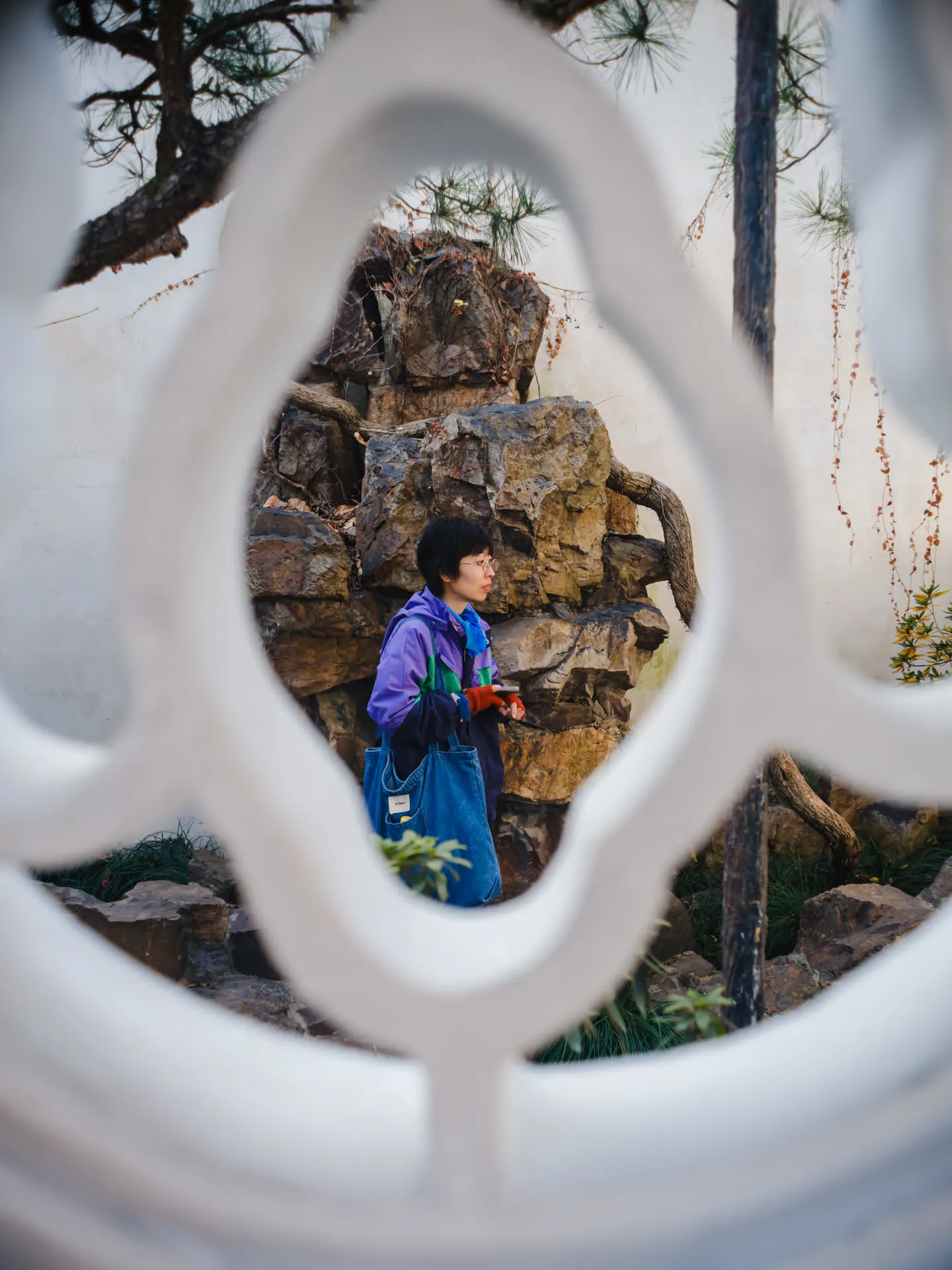 漏窗，据说沧浪亭的漏窗有一百种且不重样。