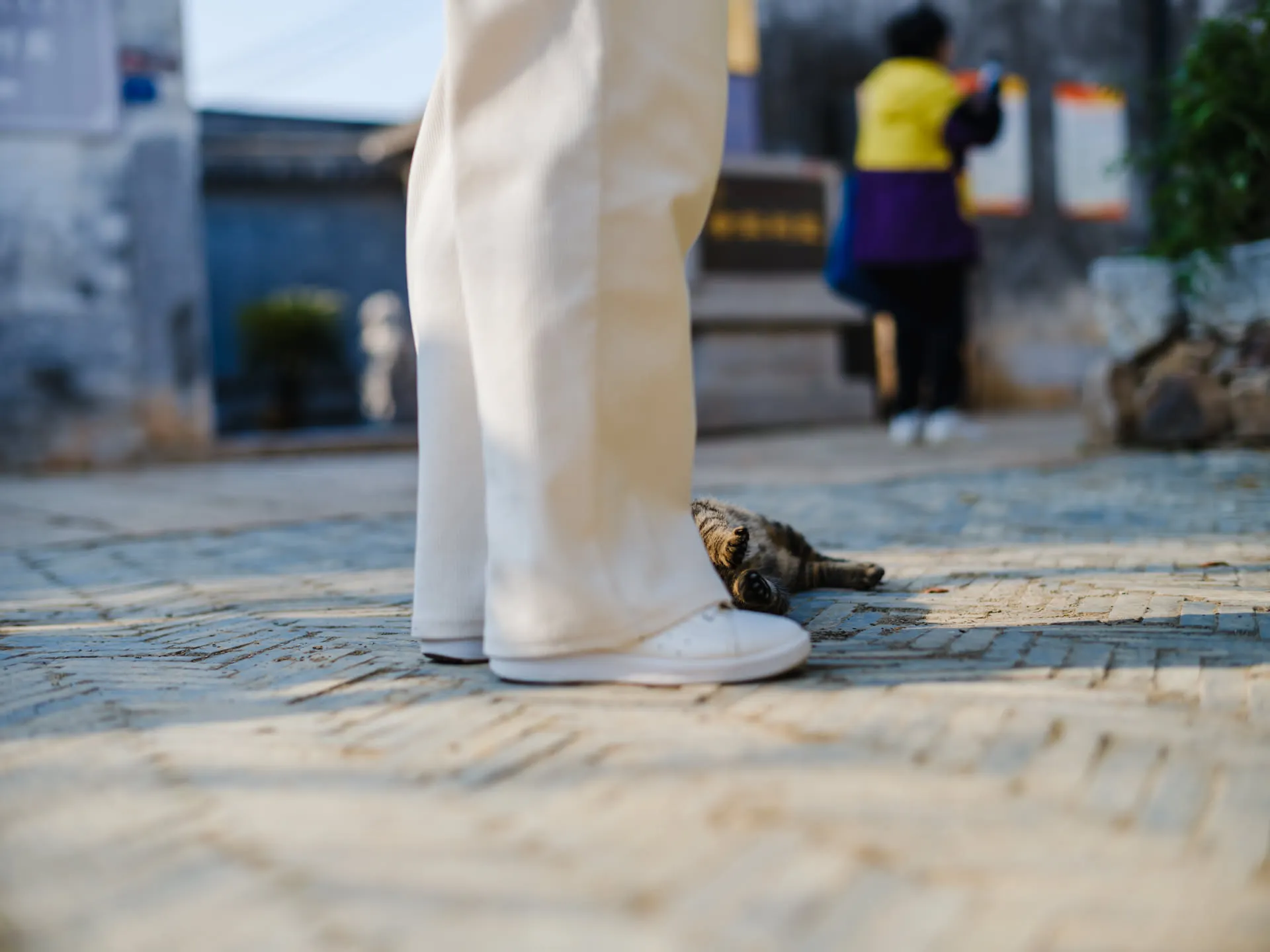 生硬但坚决的献媚之举