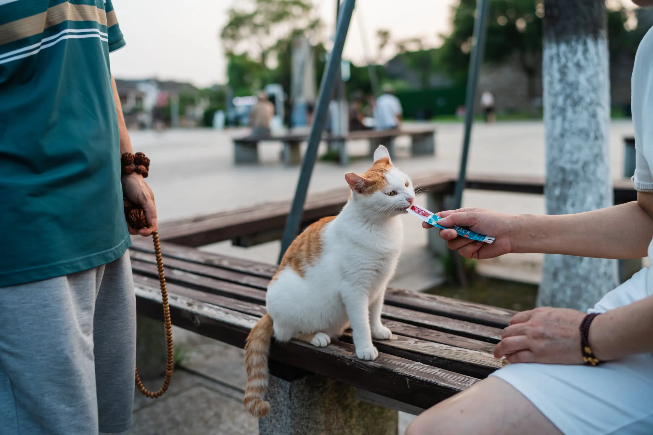 盘门，2025年7月