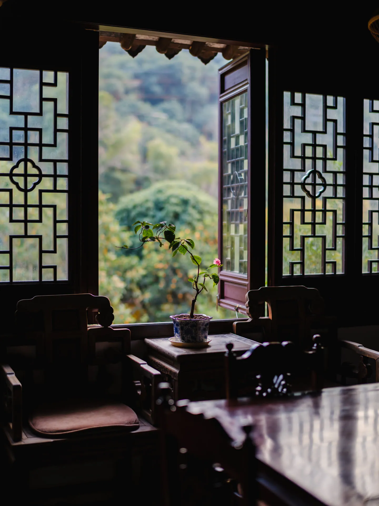 这里喝茶很舒服