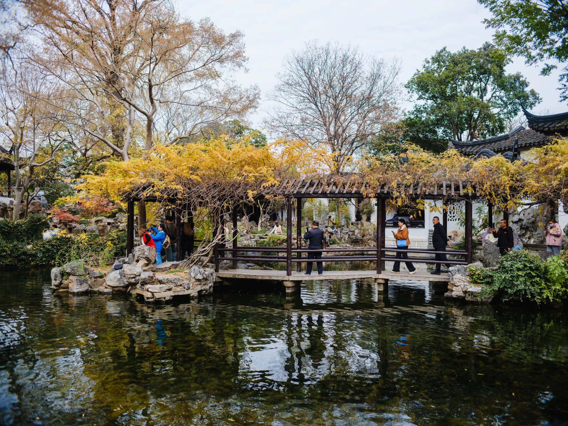 紫藤垂秋阴，长廊覆叶黄。