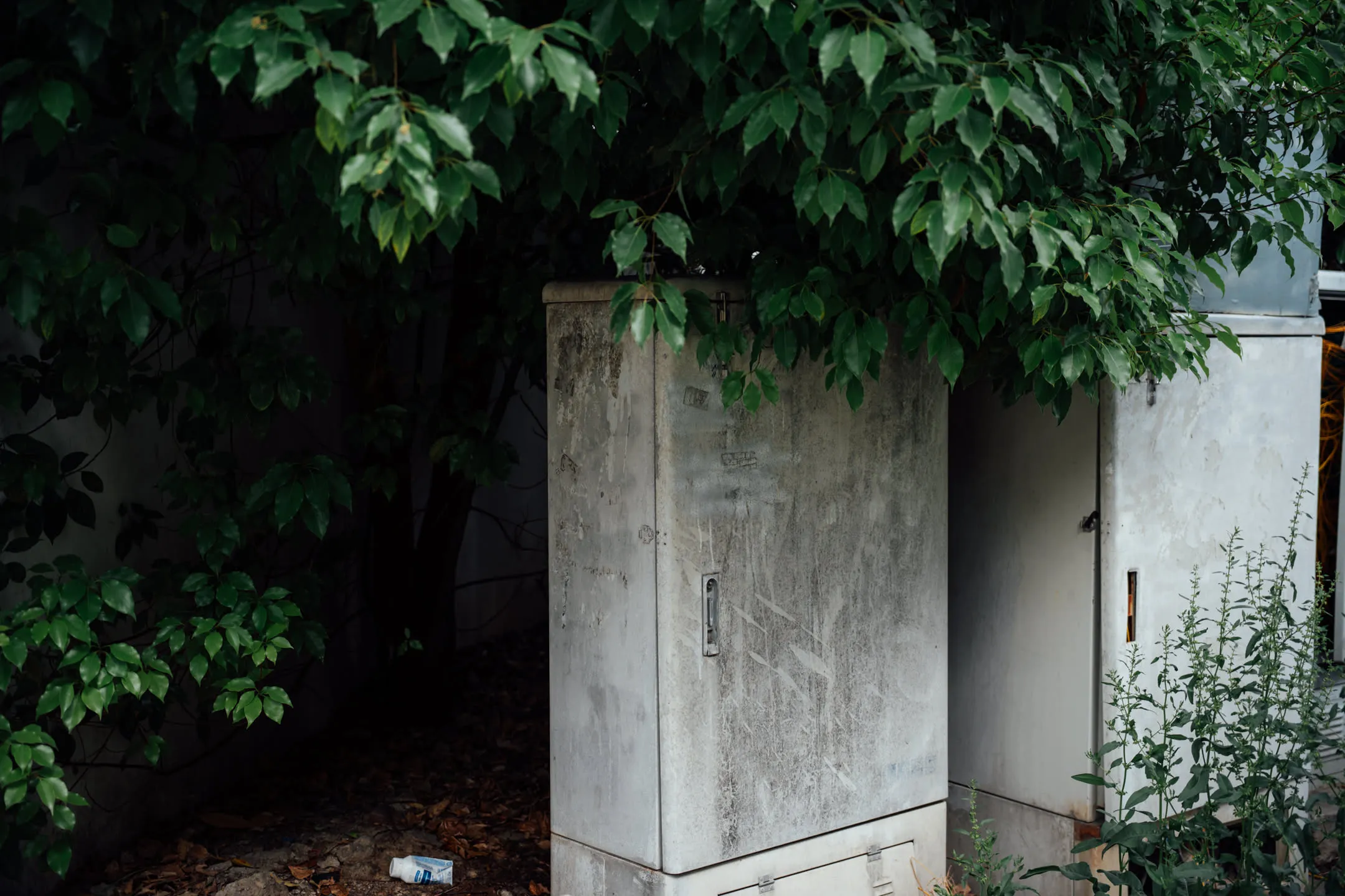 可能是路灯或者红绿灯的控制箱