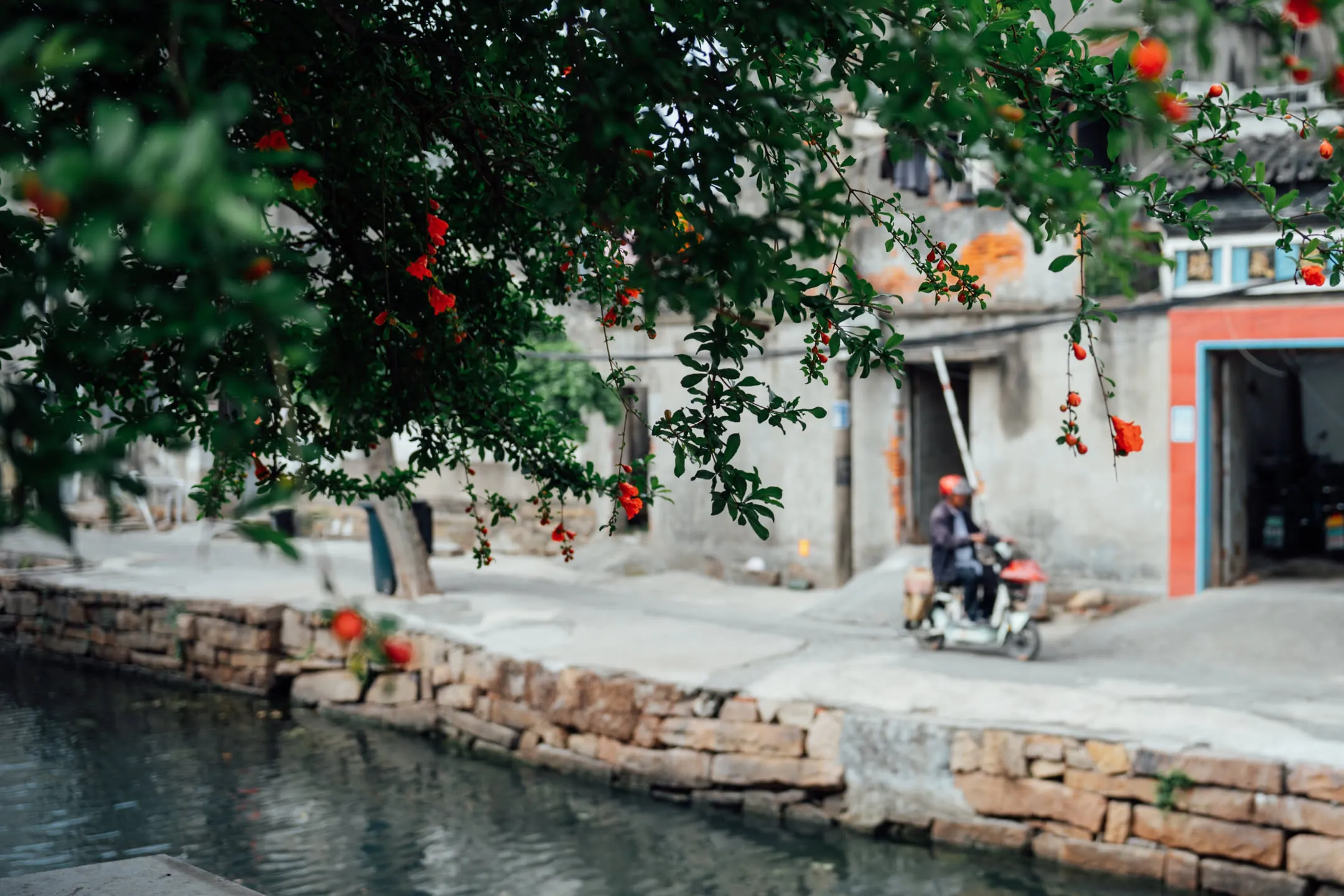 偶然经过的电动车