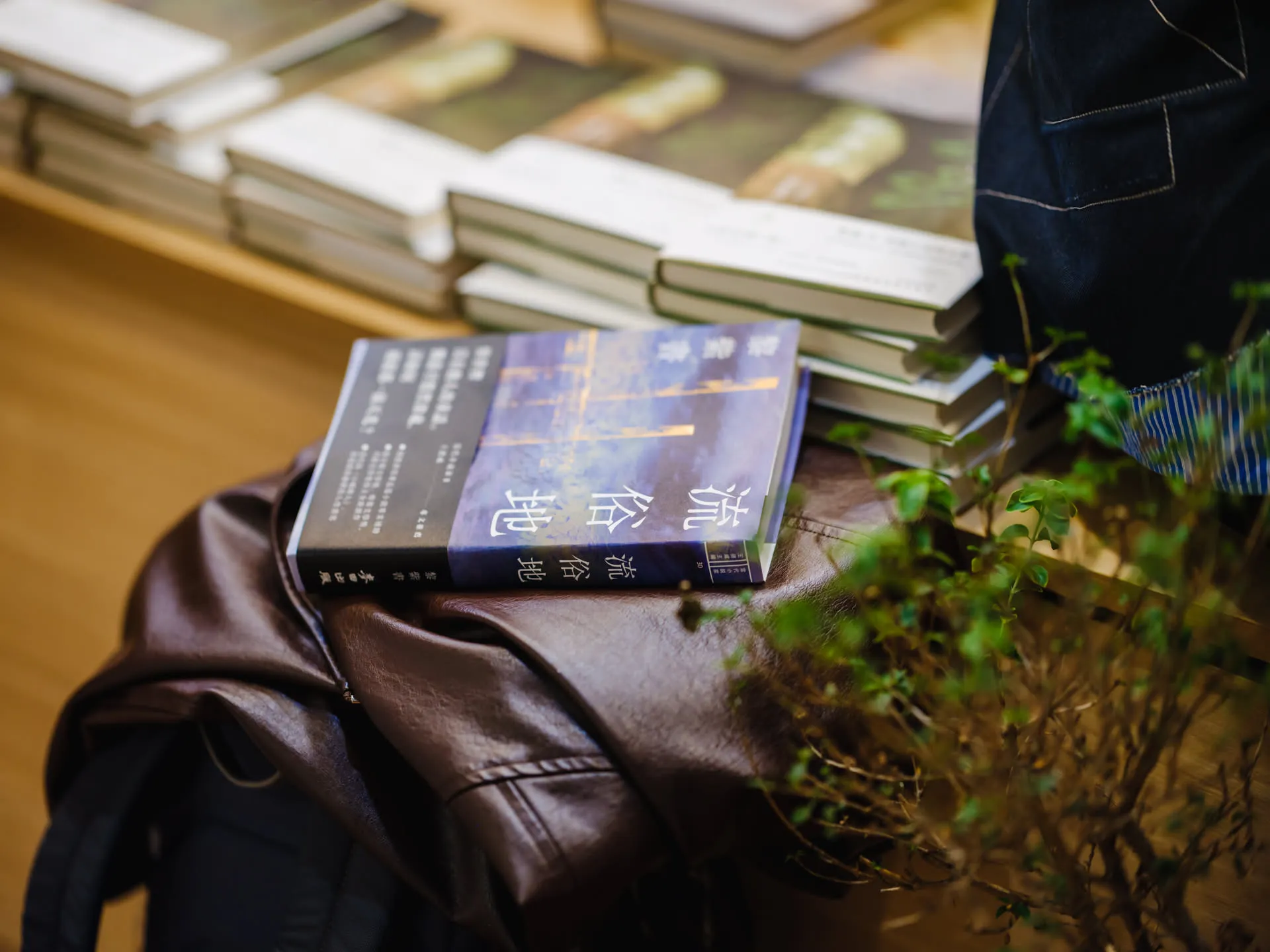 黎紫书 & 慢书房