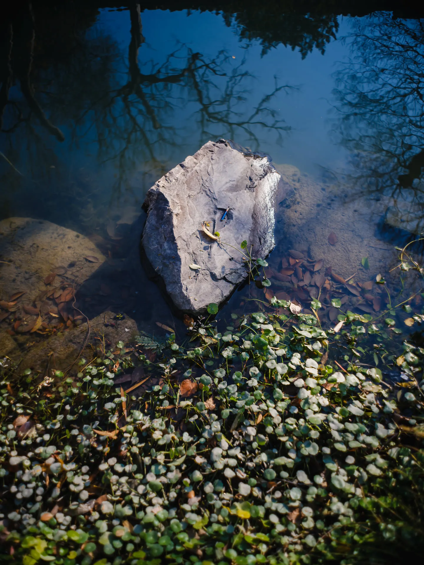 一块普通的石头