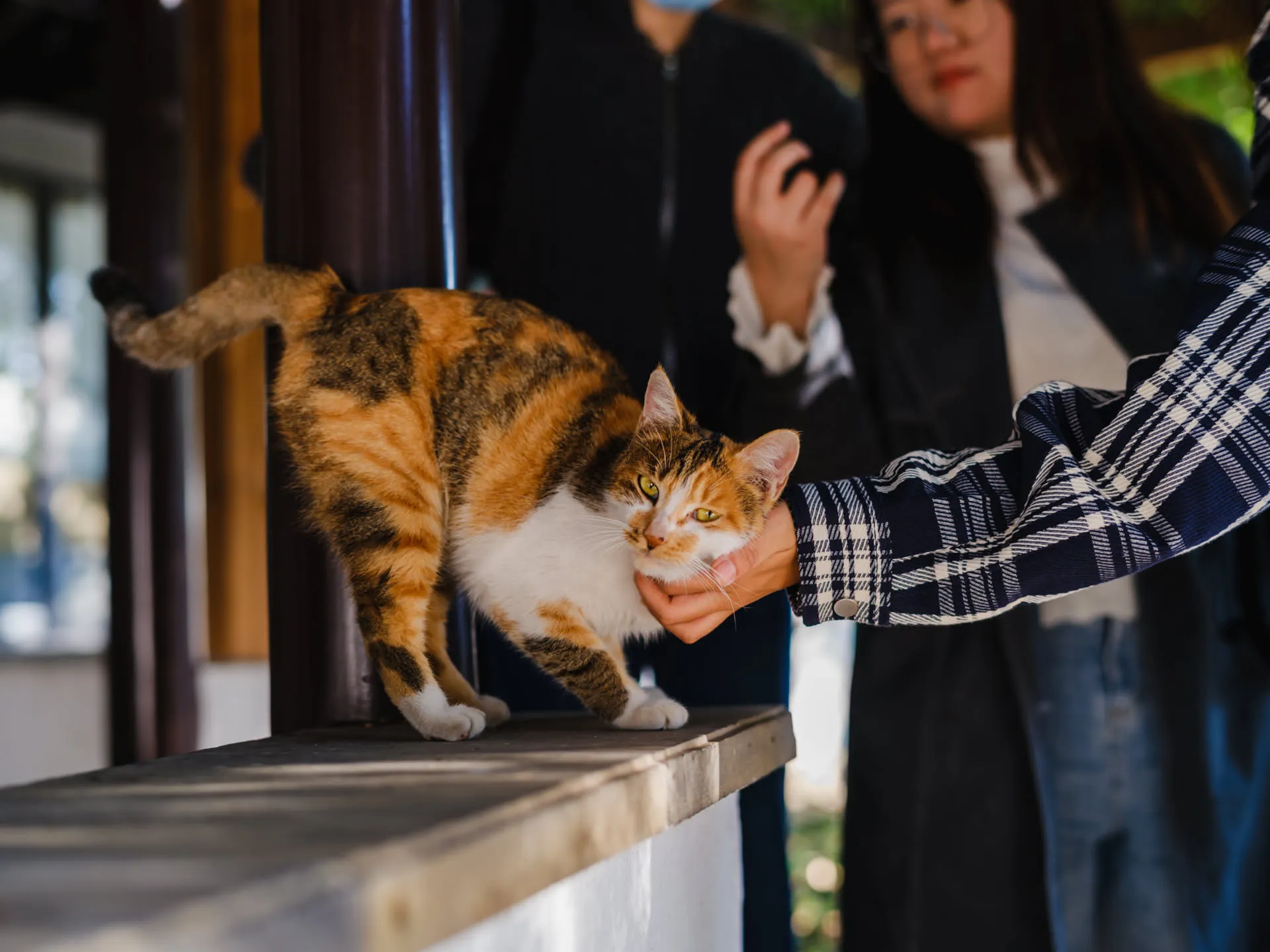 定慧寺，2025年11月