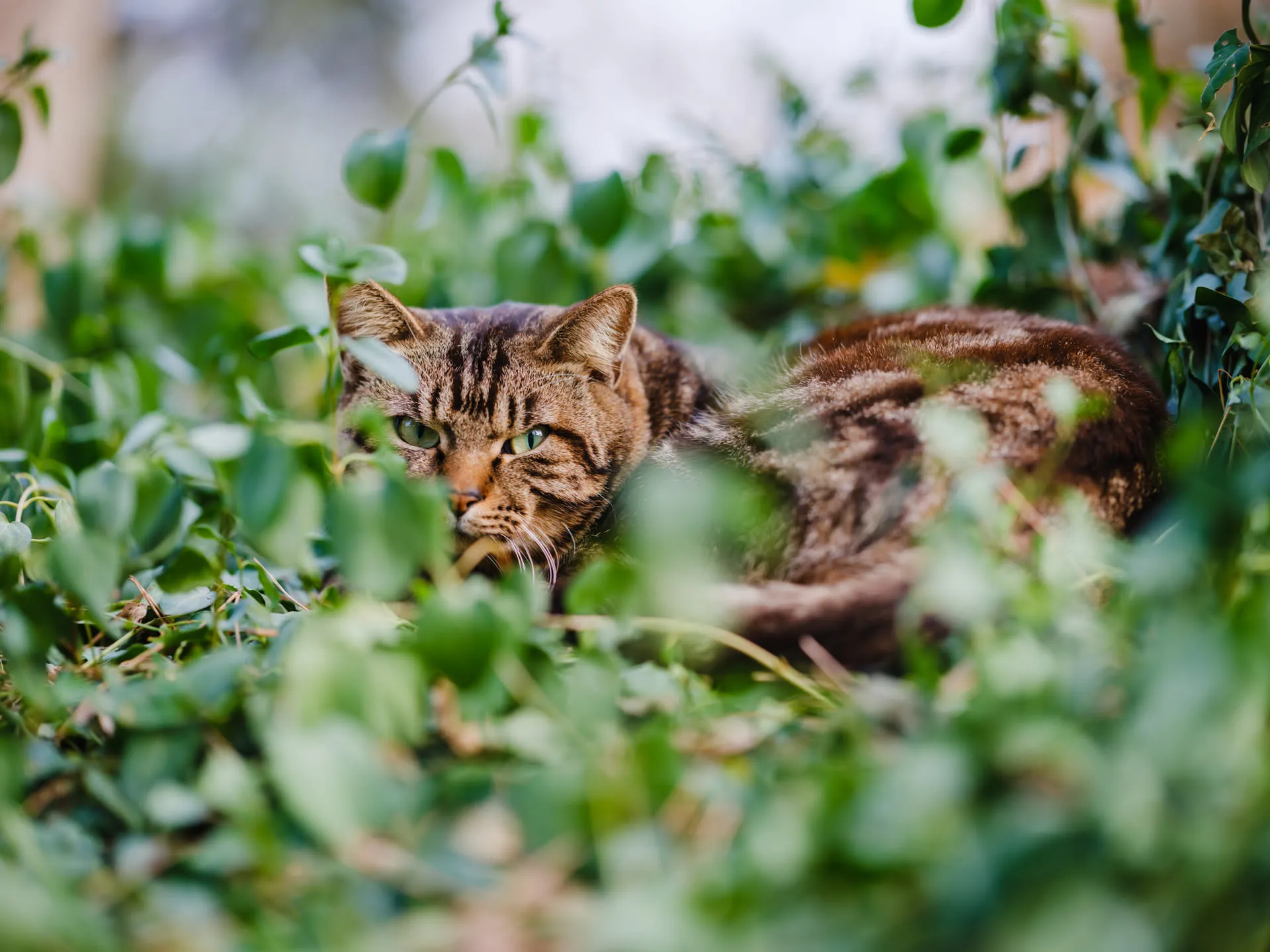 这里不欢迎你，人类。