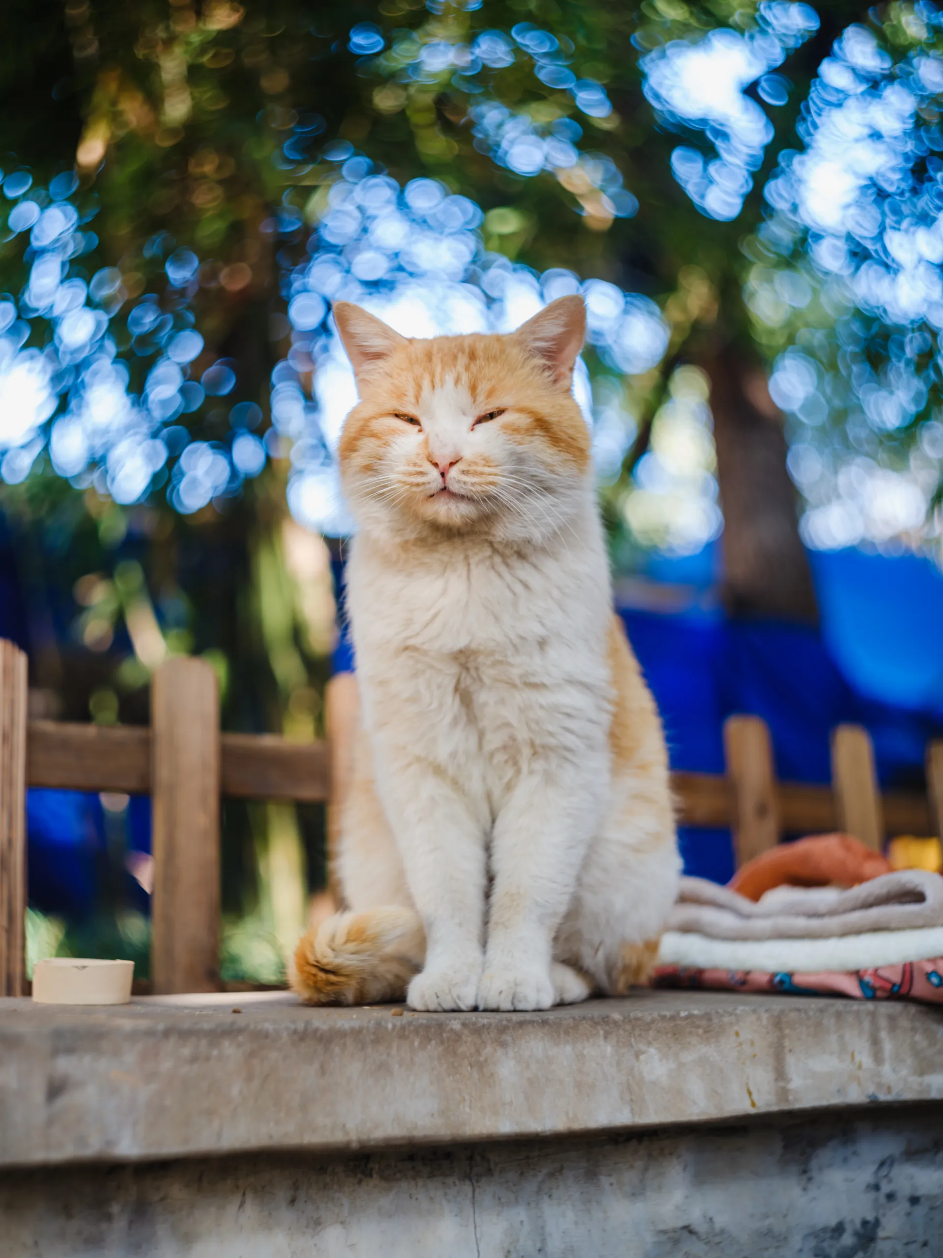 居高临下，表情有一点微妙