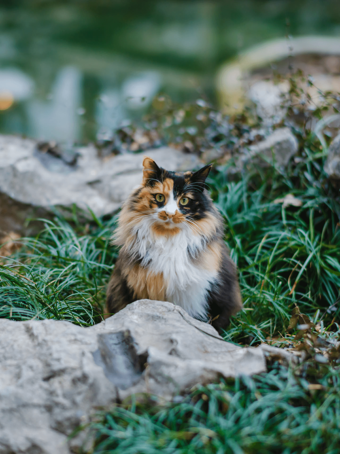 但还是挺松弛的，稍微退一点就出来了，有一点笨蛋没人的嫌疑