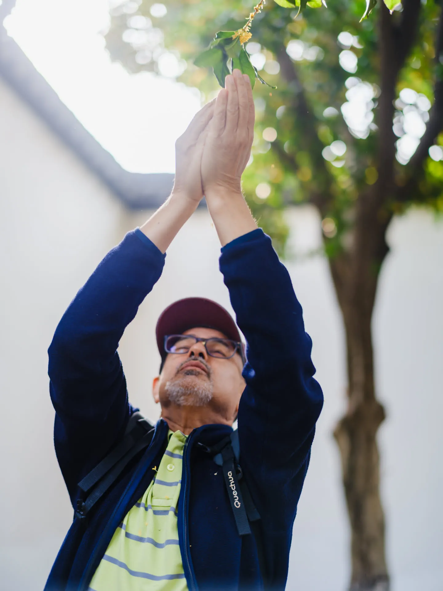 感受桂花的浓香